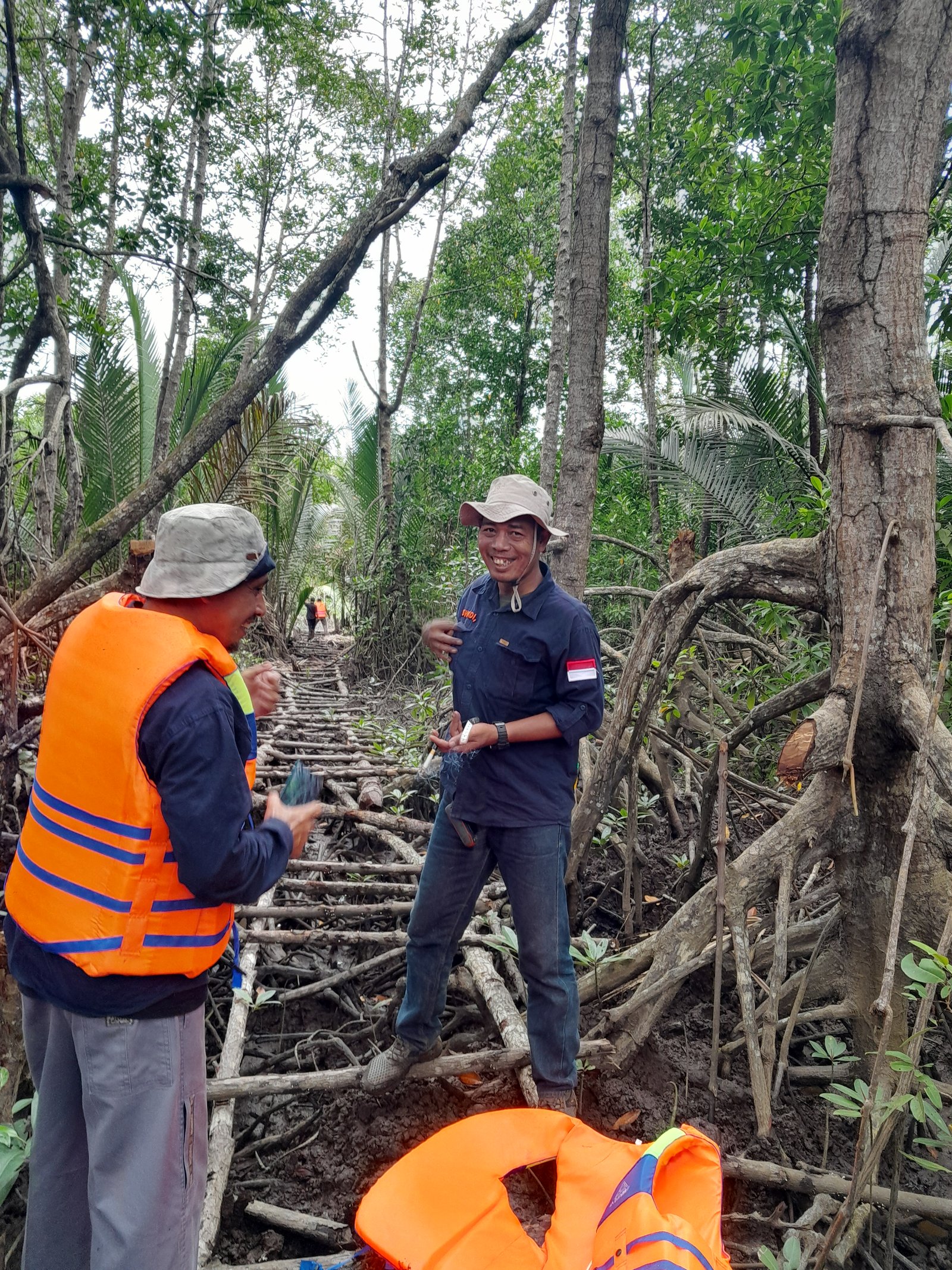 Mangrove landscape in Riau